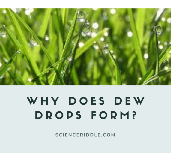 Why does dew drops form?