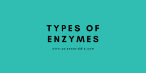 Enzymes 